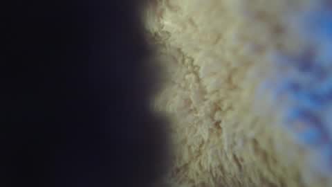 Abril Freelance Model online show from February 5, 5:09 am