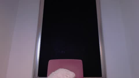 AquilesElpapi online show from September 14, 8:27 am