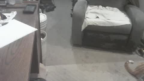 arealshowoff online show from February 17, 1:54 pm