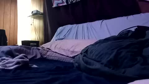 arexabragdoll66 online show from August 6, 8:56 am