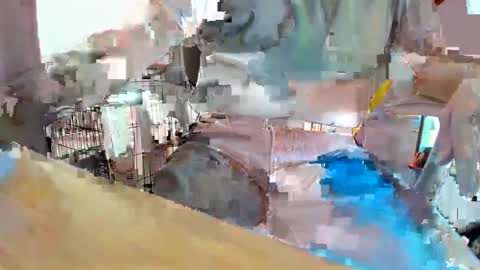 armalite16 online show from September 27, 9:34 pm