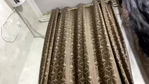 Amina online show from February 11, 7:39 pm