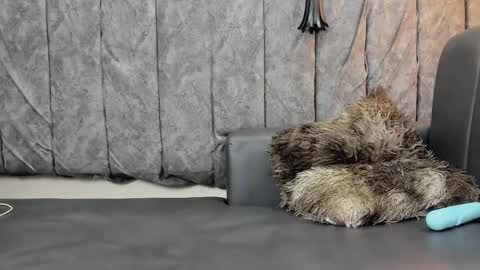 ashley_delux3 online show from January 5, 6:00 pm