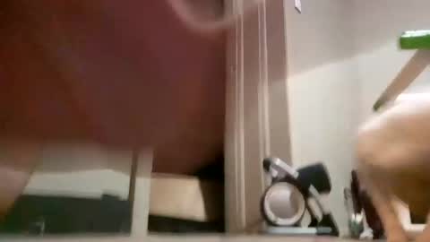 Tell me spread and Ill spread online show from January 18, 1:41 am