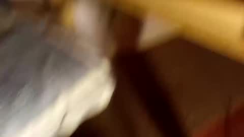 assmanmorris online show from March 5, 1:14 am