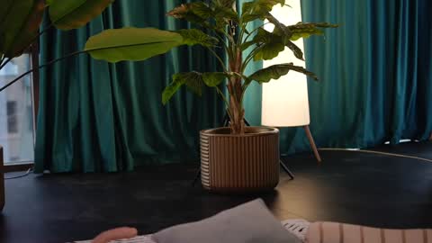 Starting 930 PM EU TIME online show from March 29, 11:12 am