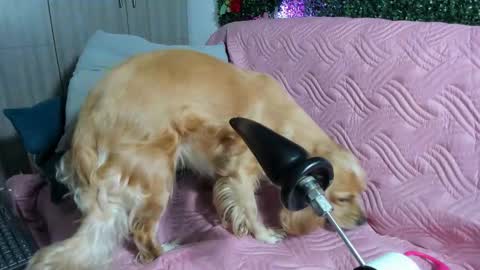 Snapshot of atalaya_sexy chatting on September 26, 5:48 am Atalaya - Jack online show from September 26, 5:48 am