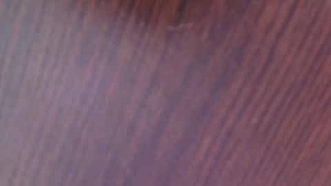 Snapshot of auroradiaz_ chatting on February 12, 6:40 am Aurora Diaz online show from February 12, 6:40 am