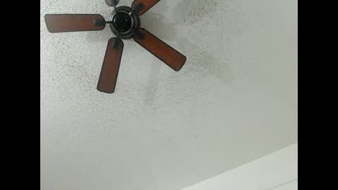 Lily  Orion online show from February 13, 1:19 am