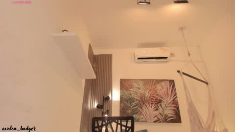 Snapshot of avalon_badger chatting on September 27, 9:23 pm Avalon online show from September 27, 9:23 pm