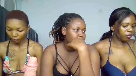 Avril online show from February 4, 7:45 am