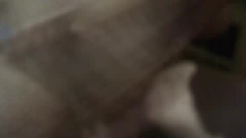 b1oodf1ow online show from February 15, 3:20 am