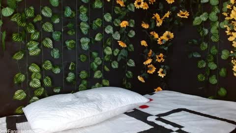 OF GxoXabs online show from January 17, 3:11 pm