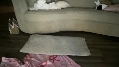 babyaves online show from November 21, 7:28 am