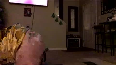 Eternity. online show from March 6, 8:35 am