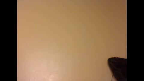 Lily. online show from February 21, 8:01 pm