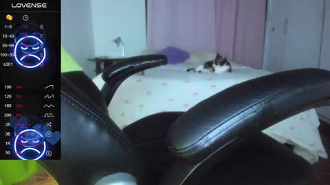 IM BAILEY online show from March 10, 9:34 am