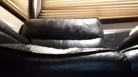 baobabtree8 online show from October 4, 12:14 pm