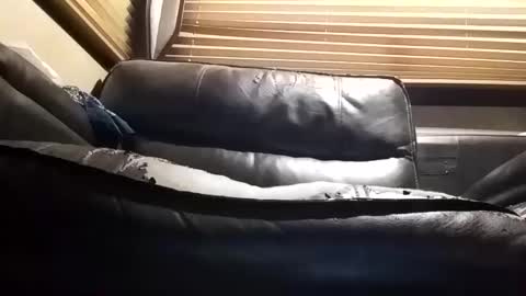 baobabtree8 online show from October 21, 9:18 pm