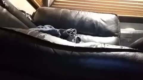 baobabtree8 online show from September 18, 7:34 am