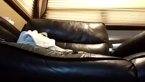 baobabtree8 online show from February 17, 1:44 pm