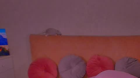 Snapshot of barbara_bb chatting on January 11, 9:04 am Barbie Kim online show from January 11, 9:04 am