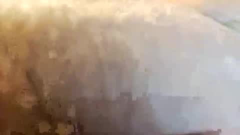 barniemay1 online show from April 23, 3:58 am