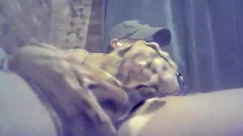 bartbartek online show from February 3, 1:02 am