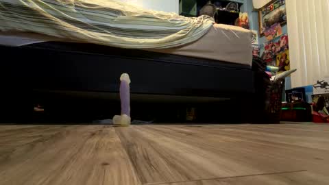 bathingcat online show from May 22, 11:44 pm