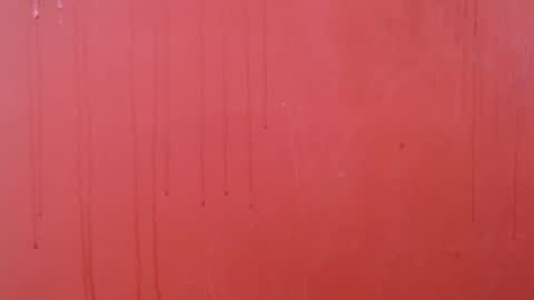 bayonette_black online show from November 26, 7:10 pm