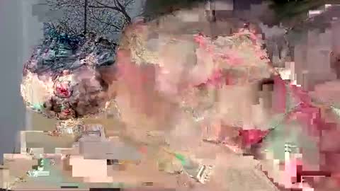 beencee2 online show from March 1, 11:20 pm