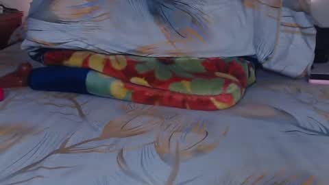 bella_xx9 online show from February 3, 2:14 am