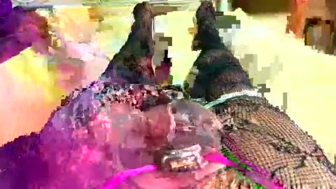 Sissyforever online show from September 26, 5:59 am