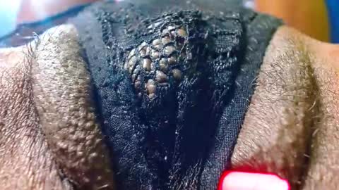 Bethany Wilson online show from February 9, 3:26 pm