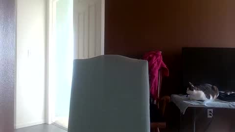 Snapshot of beverlybell chatting on March 6, 7:10 pm Beverly Bell online show from March 6, 7:10 pm