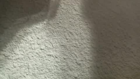 Bigfish123 online show from March 12, 4:41 am