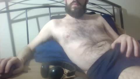 bibotguy online show from December 31, 12:21 am