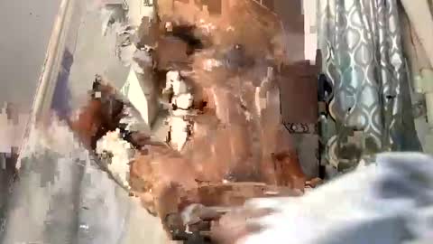 bigblackcockmello online show from December 19, 1:28 am