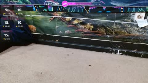 Bigd Pleasure House online show from September 16, 5:21 am