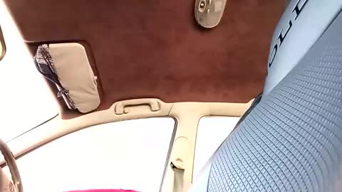 bigdiccbrannn online show from October 19, 5:56 am