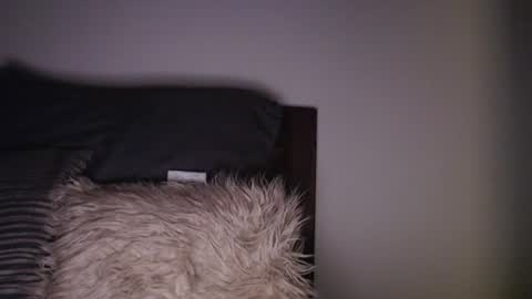 bigdicktrannynicole online show from June 24, 5:58 am