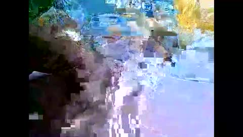 Mr Alpha online show from December 11, 2:41 am