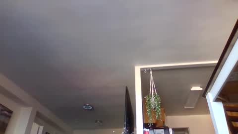 bigjoed233 online show from November 2, 2:06 pm