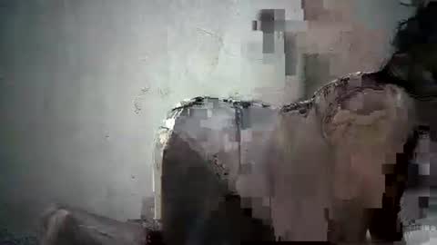 bigpussy481796 online show from May 6, 6:36 pm