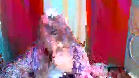 bilat tinax online show from May 11, 6:09 am