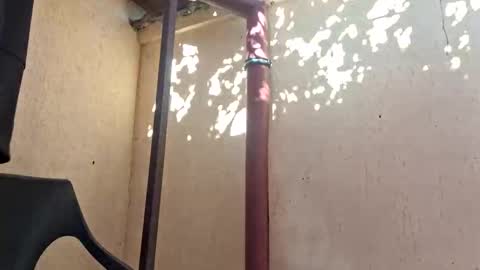 bisexdadd online show from October 29, 11:12 am