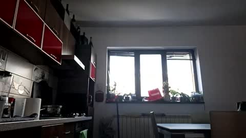 bisexdadd online show from January 17, 10:24 am