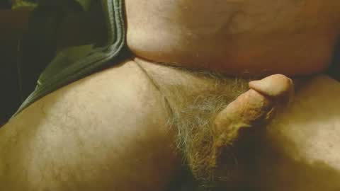 Bill online show from November 12, 12:46 am