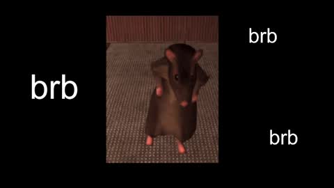  Black Kittie    Wednesday - 1300 - 1900 GMT help me get 100 thumbs up online show from February 27, 2:00 pm