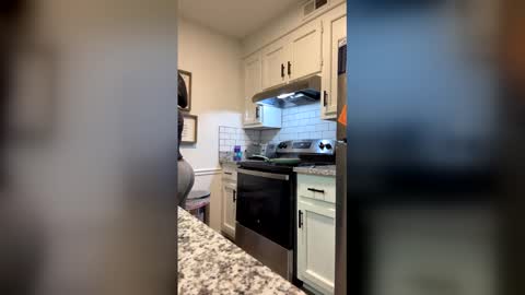 Safari Barbie online show from March 15, 10:46 pm